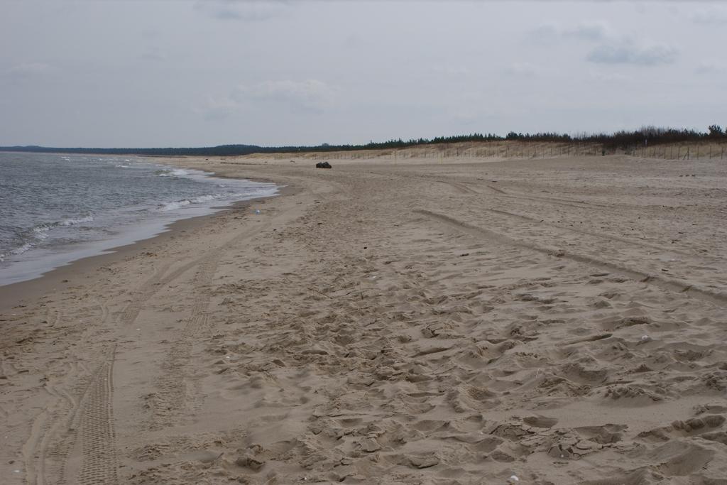 Apartament Arkodes *